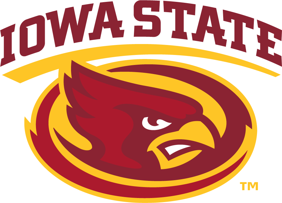 Iowa State Cyclones 2008-Pres Secondary Logo diy iron on heat transfer